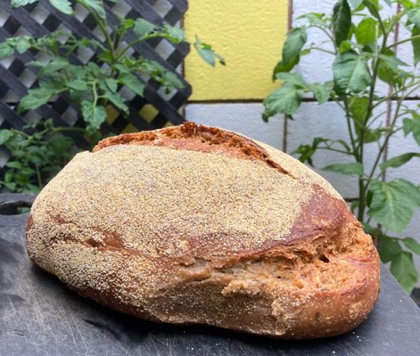 Seed Bakery by null