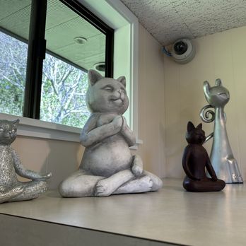 Cat Clinic - The Cat Clinic Mill Valley - Veterinarians Near Me - Mill Valley, California