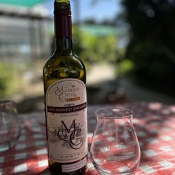 Mulberry Creek Winery - This was the best wine I've ever had! Sweet, but not too sweet, with an after taste of black pepper.