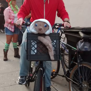 Florida Bike Tours - E.T. is a fan of Florida Bike Tours. - Bike tours Near Me
