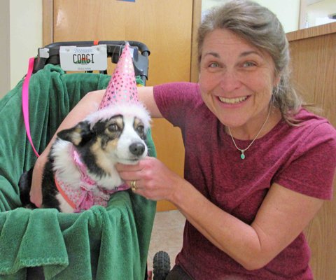 Roark Small Animal Clinic 1205 N Wilcox Dr Kingsport Tn Veterinarians Mapquest