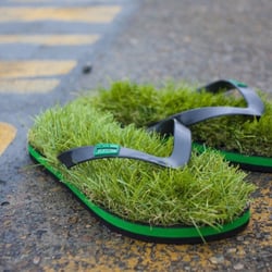 Flips Shoe Shop - Grass Sandals. Ridiculous.