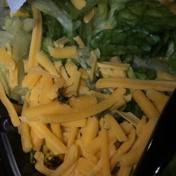 Jack in the Box - Fast Food Near Me - Fremont, California Jack in the Box - Fast Food Near Me - Fremont, California