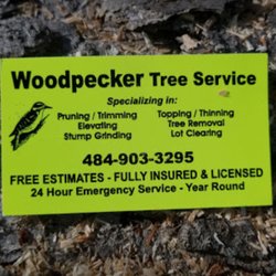 Woodpecker Tree Service
