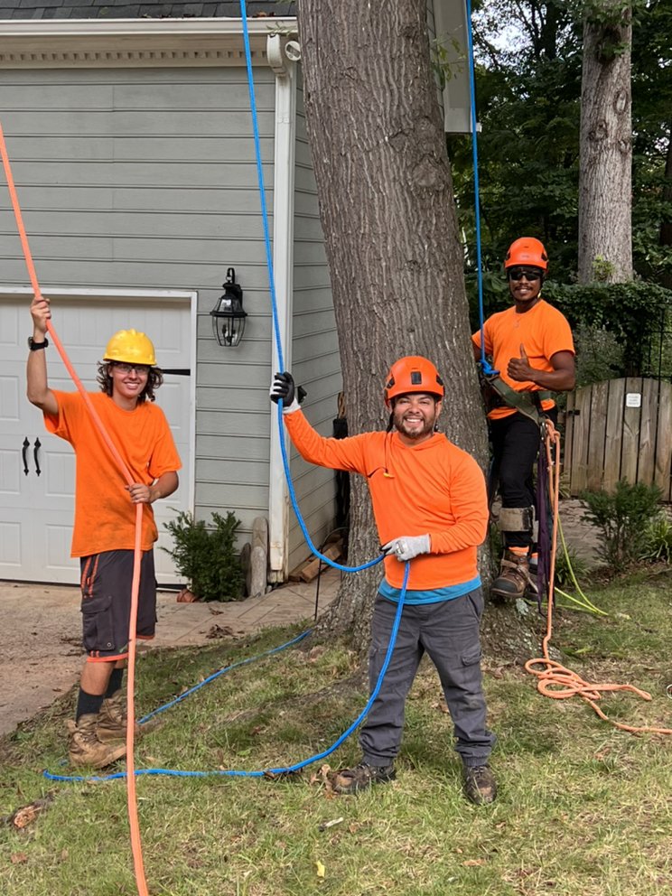 TREE AMIGOS CHARLOTTE Request a Quote Charlotte, North Carolina