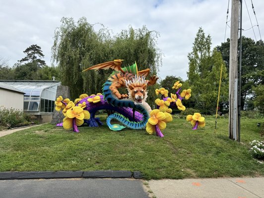 Connecticut's Beardsley Zoo by null