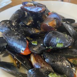 Sandbar mussels