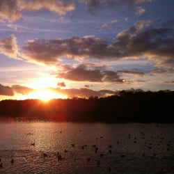 Wyndley Pool