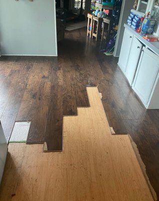 Professional Flooring Installation - At TJ’s Handyman Services, we specialize in high-quality flooring installation to enhance the beauty, durability, and value of your home. With over 20 years of experience and 13 years in business, we have the expertise to install a wide range of flooring options, including hardwood, laminate, vinyl, tile, and more. Whether you're looking to update a single room or replace flooring throughout your entire home, we ensure precision, quality, and attention to detail in every project. Our team is licensed and insured, providing you with peace of mind and a hassle-free experience. We use top-grade materials and expert craftsmanship to deliver long-lasting results, and we stand behind our work with a 1-year warranty. Trust TJ’s Handyman Services for professional, reliable flooring installation that transforms your space. Contact us today for a free estimate and let’s bring your vision to life! Professional Flooring Installation - At TJ’s Handyman Services, we specialize in high-quality flooring installation to enhance the beauty, durability, and value of your home. With over 20 years of experience and 13 years in business, we have the expertise to install a wide range of flooring options, including hardwood, laminate, vinyl, tile, and more. Whether you're looking to update a single room or replace flooring throughout your entire home, we ensure precision, quality, and attention to detail in every project. Our team is licensed and insured, providing you with peace of mind and a hassle-free experience. We use top-grade materials and expert craftsmanship to deliver long-lasting results, and we stand behind our work with a 1-year warranty. Trust TJ’s Handyman Services for professional, reliable flooring installation that transforms your space. Contact us today for a free estimate and let’s bring your vision to life!