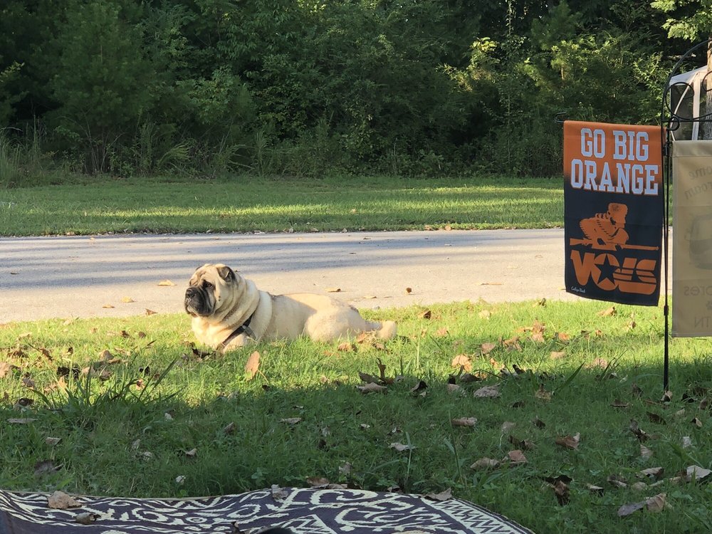 LAZY ACRES Updated September 2024 7502 Jackson Bend Rd, Lenoir City, Tennessee RV Parks