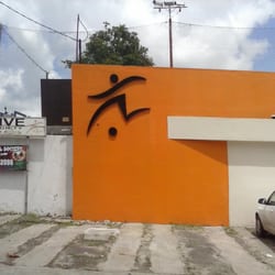 Sportive Futebol Society