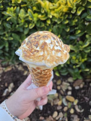 The Penny Ice Creamery | Town & Country Village by null