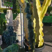 Photo of Melrose Place Farmer's Market - Los Angeles, CA, United States. Green House ... more cool cacti.
