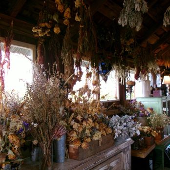 Park Winters Flower Farm - Interior of Flower Barn - Pick Your Own Farms Near Me - Winters, California