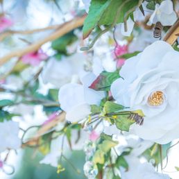 Beautiful flower decoration for my gazebo Beautiful flower decoration for my gazebo