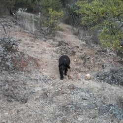 Parque ecológico El Orito