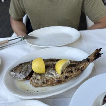 Elias Corner - Mediterranean Near Me - Astoria, New York