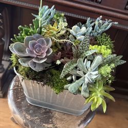 user provided Julie's Flowers of Geist photo