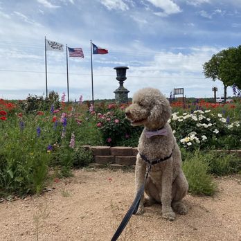 Wildseed Farms - Dog friendly everywhere - Nurseries & Gardening Near Me - Fredericksburg, Texas