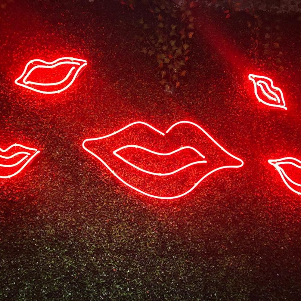 XO Taco - Tacos Near Me - Syracuse, New York XO Taco - Tacos Near Me - Syracuse, New York