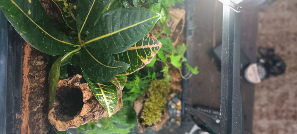 North County Massage Pros