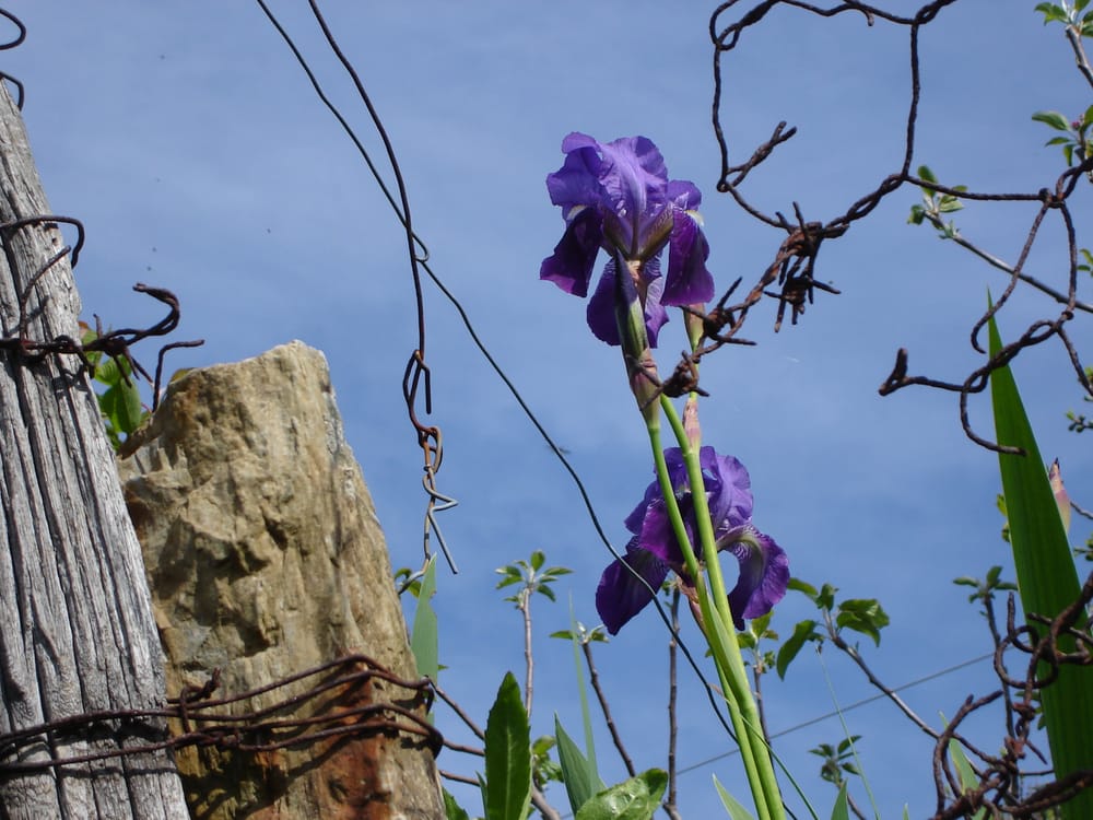 Slide of Freedom Pump & Well Services