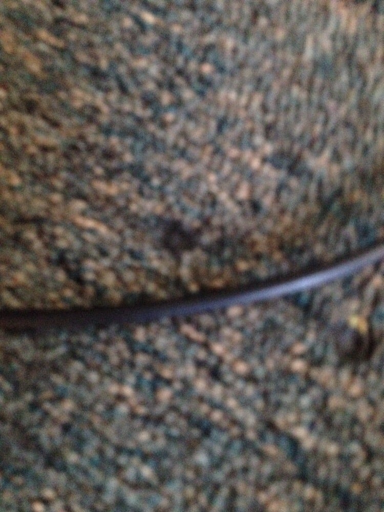 GUEST HOUSE Updated September 2024 204 E Felton Rd, Cartersville, Hotels Phone