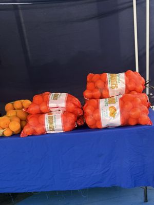 Downtown Long Beach Farmer's Market by null