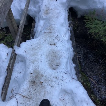 Little Zigzag Falls - Hiking Near Me