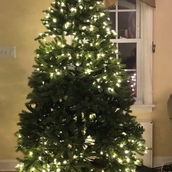 1. National Tree