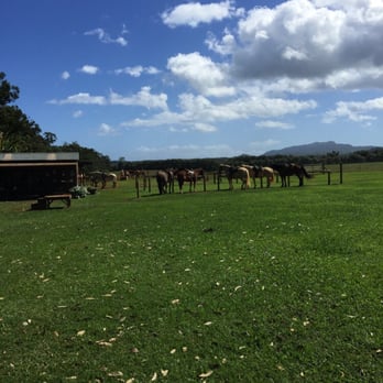 Princeville Ranch - Horseback Riding Near Me - Princeville, Hawaii