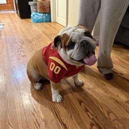Rambo