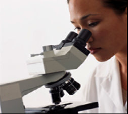 HC Environmental - mold inspector in Tucson, AZ