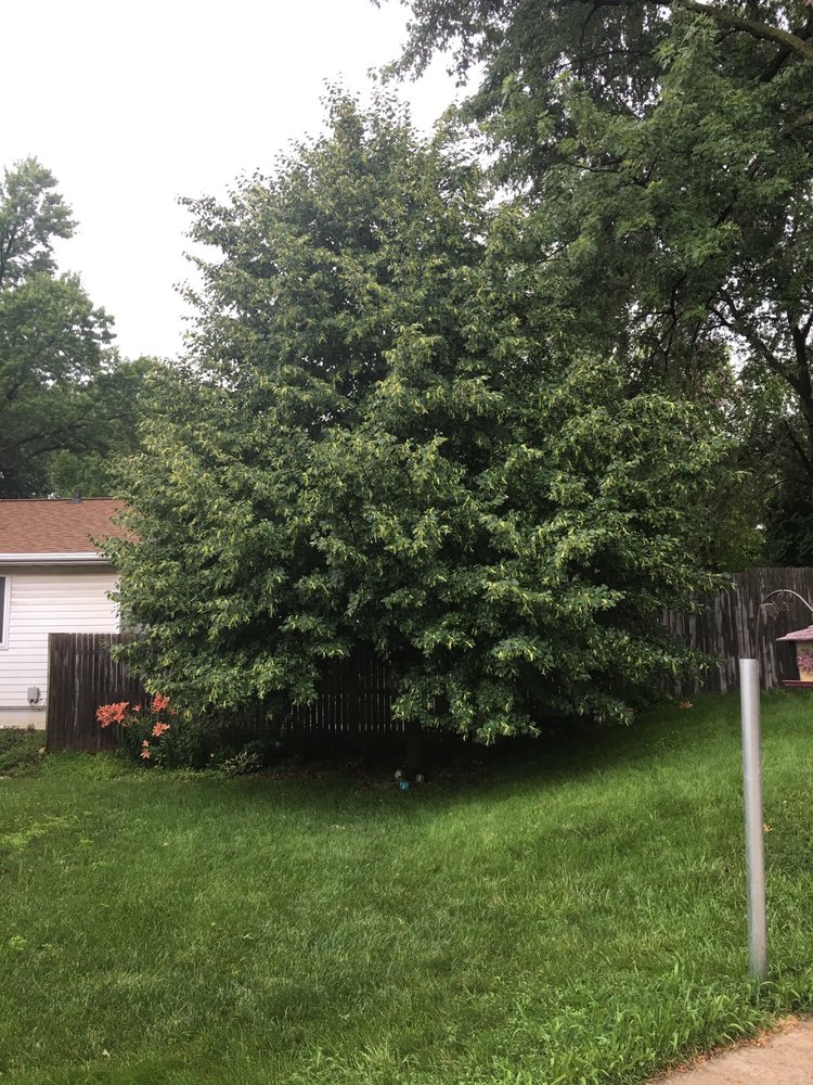 JORDAN’S NURSERY Updated October 2024 1715 W 1st St, Cedar Falls