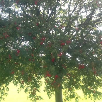 Watford Fields - Parks Near Me - Watford, HRT