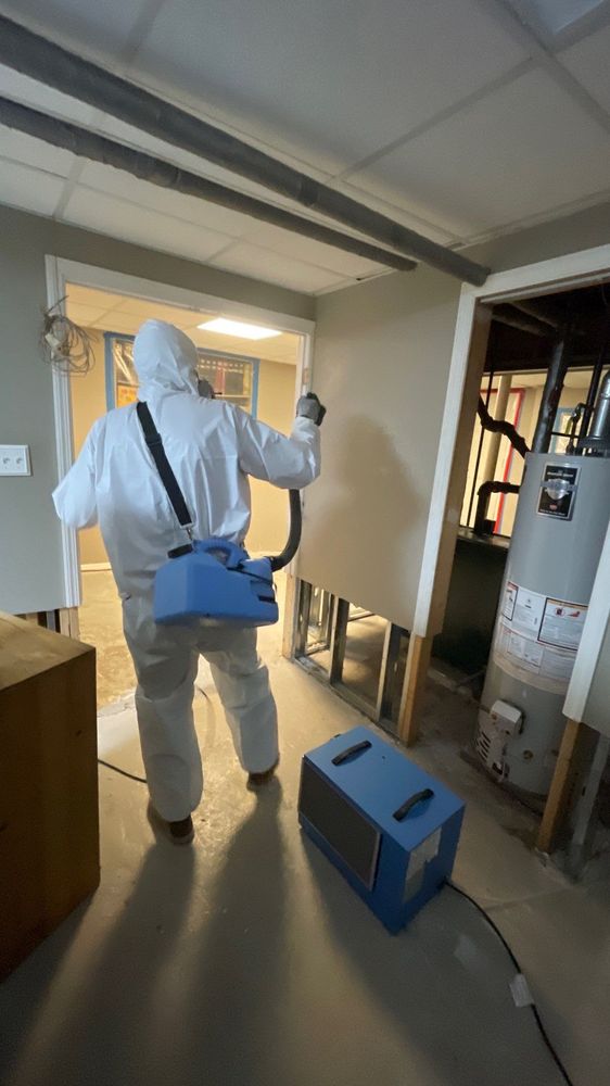 NJ Water Damage Restoration - mold inspector in Clifton, NJ