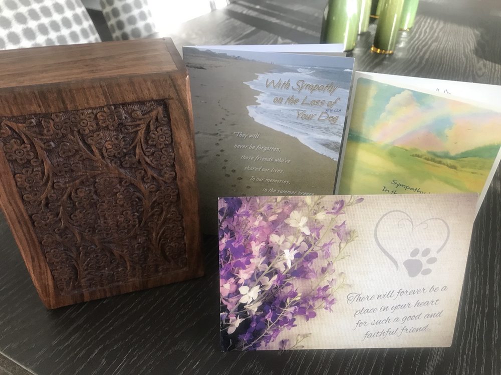 DOGGONE PRETTY Updated August 2024 23 Photos & 10 Reviews 449