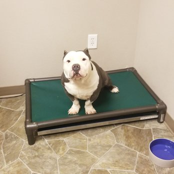 University K9 - Pet Training Near Me - Clackamas, Oregon