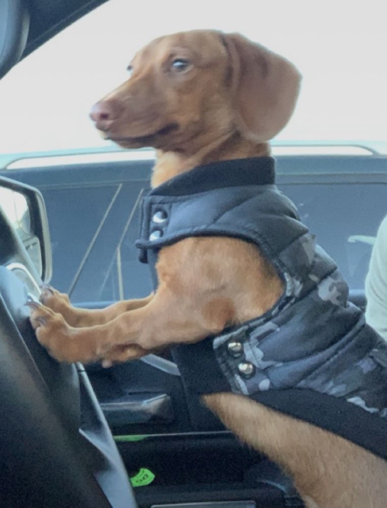 AUTOZONE Updated August 2024 10 Reviews 519 Lafayette Rd