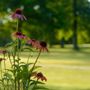 Photo of Jackson County Country Club
