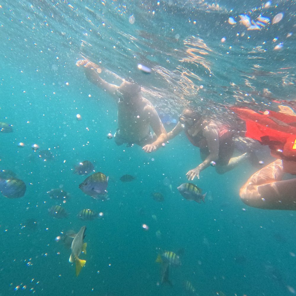 Esperanza's Tours - Boat Tours Near Me - Cabo San Lucas, BCS
