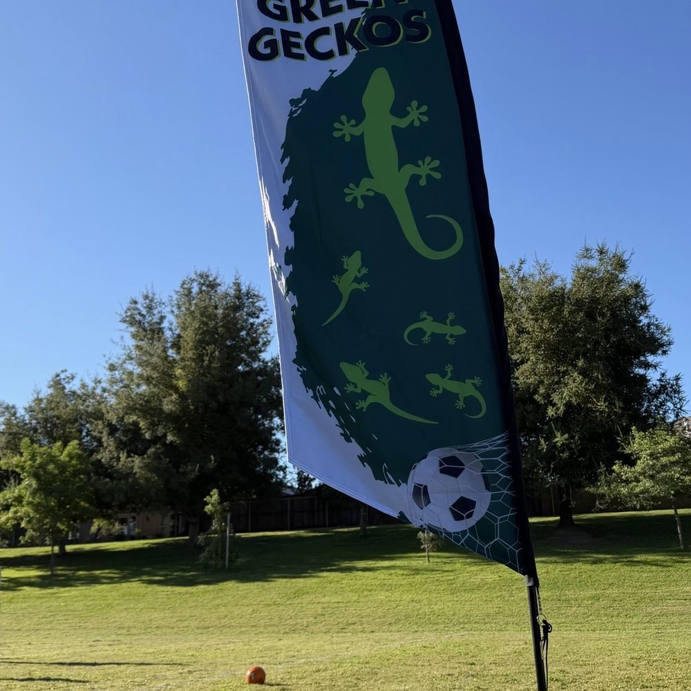 On-Line Printing & Graphics - Custom flag banner - Printing Services Near Me - Lodi, California On-Line Printing & Graphics - Custom flag banner - Printing Services Near Me - Lodi, California