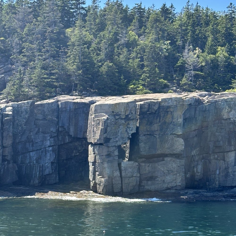 Bar Harbor Whale Watch - Whale Watching Tours Near Me - Bar Harbor, Maine