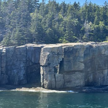 Bar Harbor Whale Watch - Whale Watching Tours Near Me - Bar Harbor, Maine