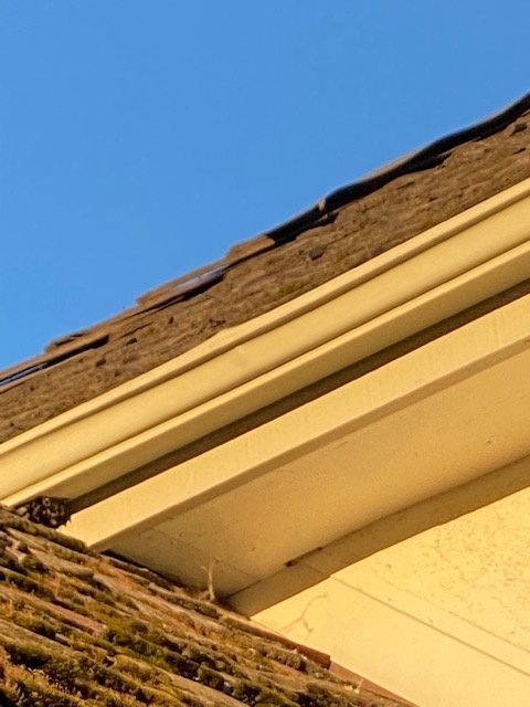 Slide of Chingon's Tear Off 