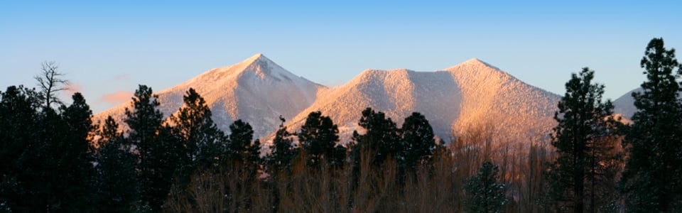 Performance Staffing - social services organization in Flagstaff, AZ