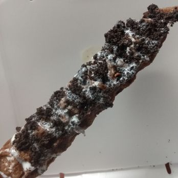 What The Waffle - Cookie Monster Waffle - Food Trucks Near Me What The Waffle - Cookie Monster Waffle - Food Trucks Near Me