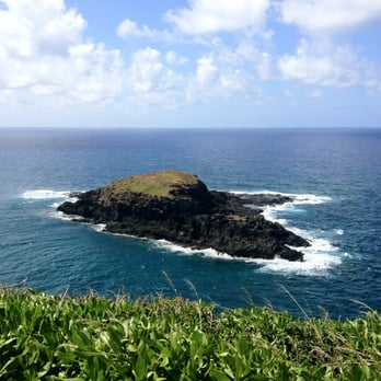 Kilauea Point - Bird only island - Wildlife Control Near Me - Kilauea, Hawaii Kilauea Point - Bird only island - Wildlife Control Near Me - Kilauea, Hawaii