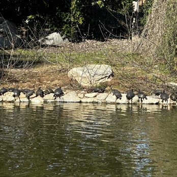 ALMANSOR PARK 746 Photos 277 Reviews 800 S Almansor St Alhambra ALMANSOR PARK 746 Photos 277 Reviews 800 S Almansor St Alhambra