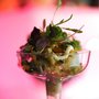 Delicious Catering Services